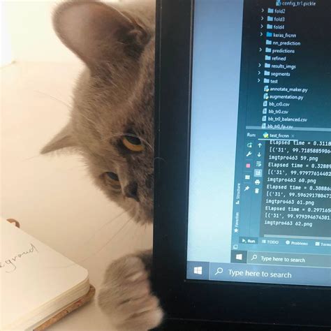 Image result for Python for MRI Data Processing