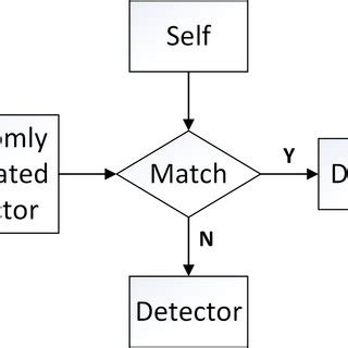 Image result for Negative Selection