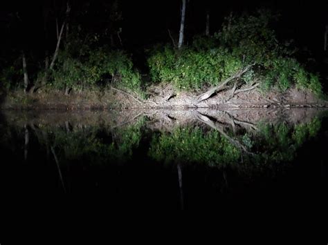 Image result for Gladiator Problem