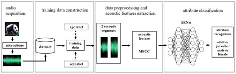 Automatic Recognition of Giant Panda Attributes from Their ...