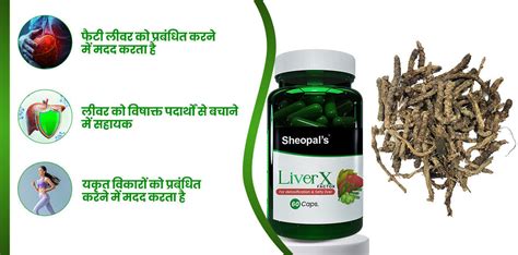 What Can Be The Symptoms Of Liver Disease? – Sheopals