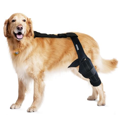 Buy MerryMilo Dog Knee Brace For Support With Cruciate Ligament Injury ...