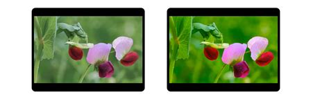 Quantum Dot Display 的图像结果