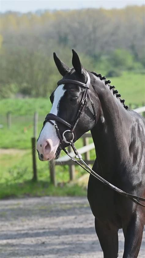 Pin by cassidy correll on Pins by you