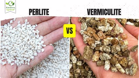Perlite vs Vermiculite: Which is Better?
