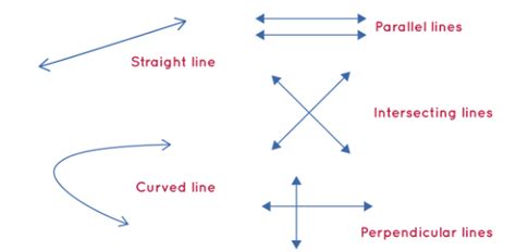 Basic Geometrical Ideas Class 6 Worksheet Maths Chapter 4