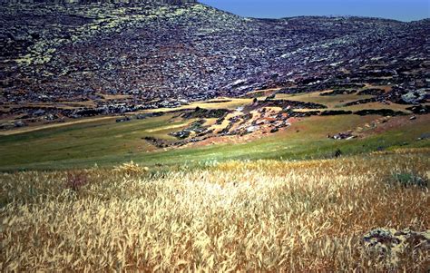 Shiloh was a city in the tribe of Ephraim