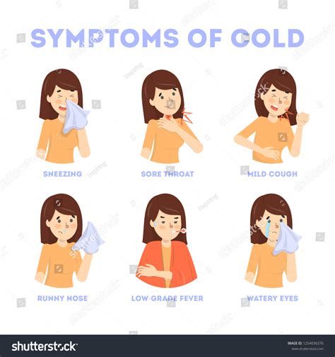 Cold Flu Symptoms Infographic Fever Cough Stock Vector (Royalty Free) 1254036376