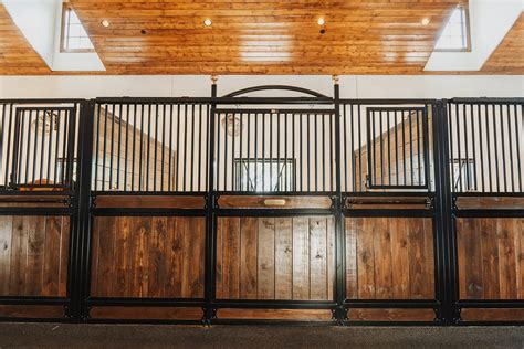 Stable 的图像结果