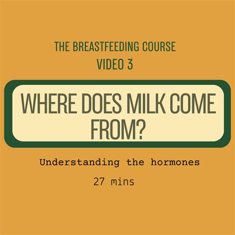 Best Online Breastfeeding Classes - The Parenting Place Bangalore