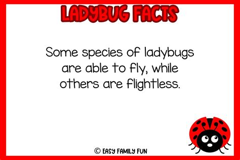 Interesting Facts about Ladybugs [Free Fact Cards] - Easy Family Fun ...
