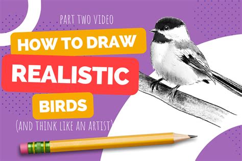 Image result for Drawing Birds Tutorial