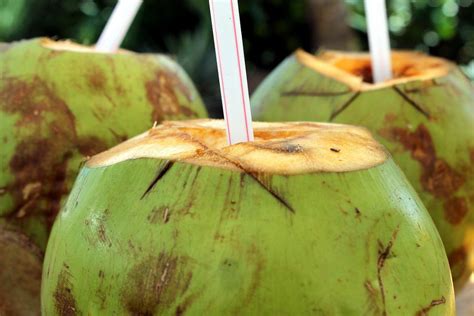 椰子是什么季节成熟，椰子是夏季常见的水果 - 鲜淘网