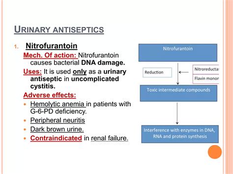 How Fast Does Nitrofurantoin Work