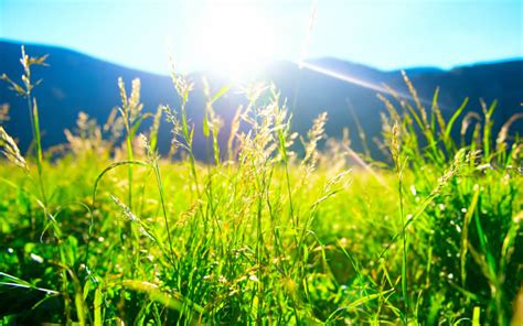 9 Super easy hacks to germinate seeds that really work – TrustBasket