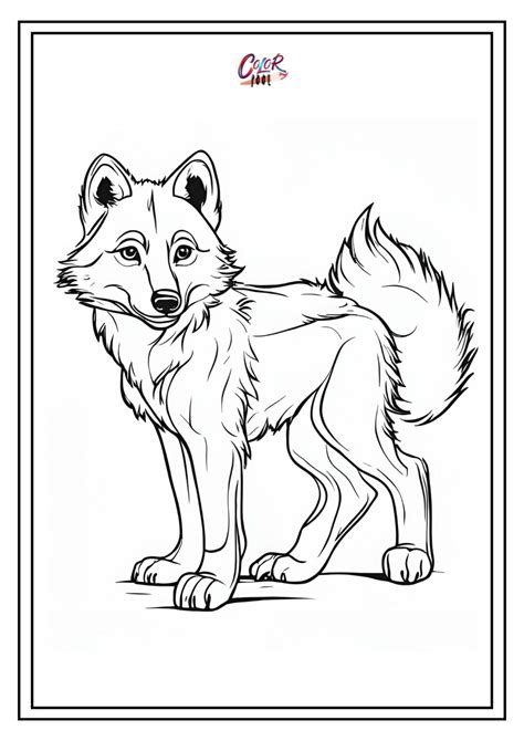 Wolf Coloring Pages (30+ Free Pdf Printables)