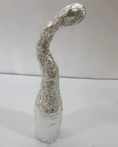 Image result for Waste Bottle Craft