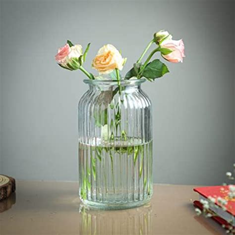 Buy Golden bird 7.5 Inch Tall Glass Flower Vases, Bulk Plant Vases,1 ...