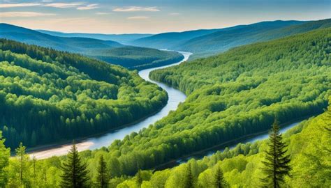 Rezultat imagine pentru Springfield MO Fun