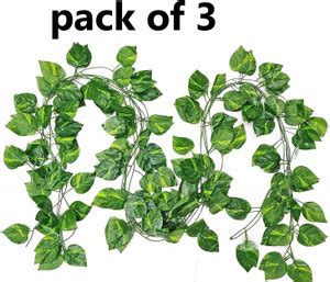 YOUNG STAR 3 PEREMIUM ARTIFICIAL CREEPER GREEN 10 FEET LENTh FOR hOME ...