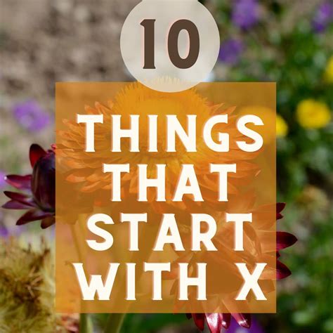 10 X-Tra Ordinary Things that start with X - Approaching Home