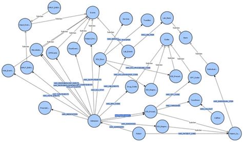 Mimic Knowledge Graph 的图像结果