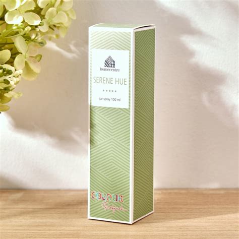 Buy Colour Refresh Serene Hue Car Spray - 100 ml from Home Centre at ...
