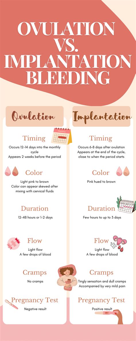 Ovulation vs. Implantation: What is the difference?