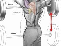 Exercise Diagrams 的图像结果