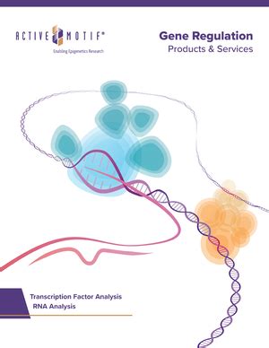 39 - Kashmir university cell and molecular biology botany notes Unit 3 ...