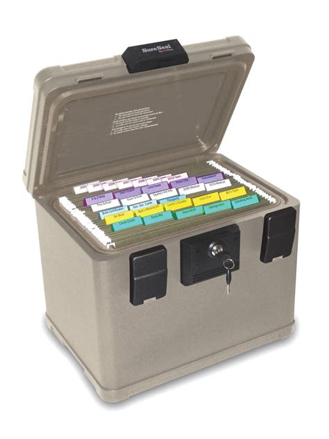 Image result for File Sure