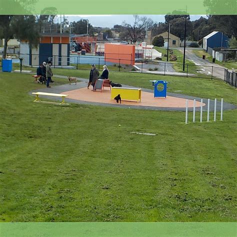 ARARAT DOG PARK (2026) All You Need to Know BEFORE You Go (with Photos ...