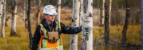 Image result for Teck Mining Operations