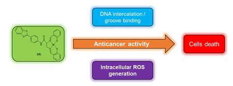 The Synthesis, Characterization, Molecular Docking and In Vitro ...