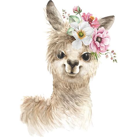 Buy MEFOSS Funny Toilet Bathroom Sign Decals Stickers Mr and Mrs Ladies ...