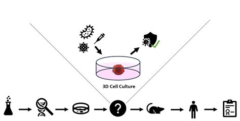 Three-Dimensional Cell Culture Methods in Infectious Diseases and ...