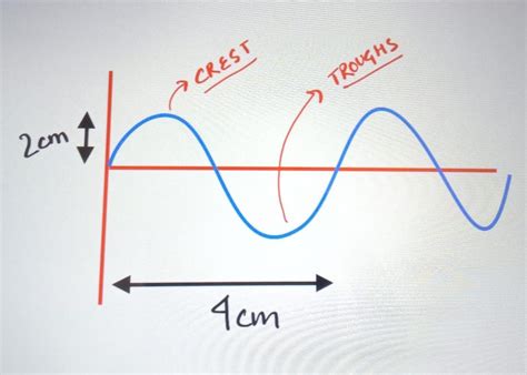 Draw a transverse wave with amplitude of 2 cm and wavelength of 4 cm ...