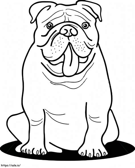 Beautiful Bulldog coloring page