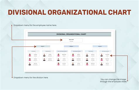 Divisional Structure 的图像结果