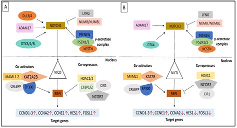 Gene Expression Profiles of Human Mesenchymal Stromal Cells Derived ...