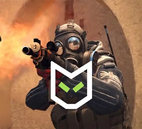 Image result for CS2 Predator