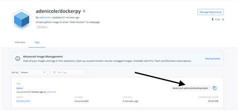 How to Run Python Code in Docker 的图像结果