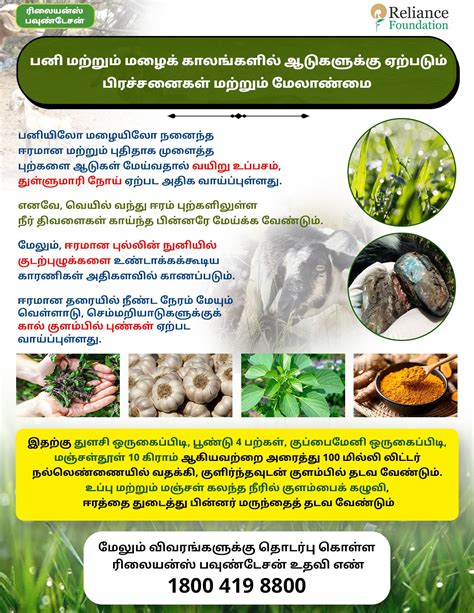 Content - View - Reliance Foundation Web Repository