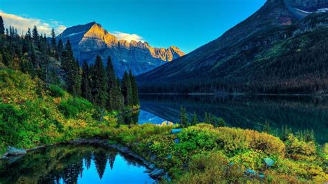 Image result for High Definition Computer