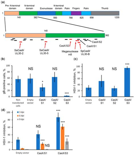 Complete and Prolonged Inhibition of Herpes Simplex Virus Type 1 ...