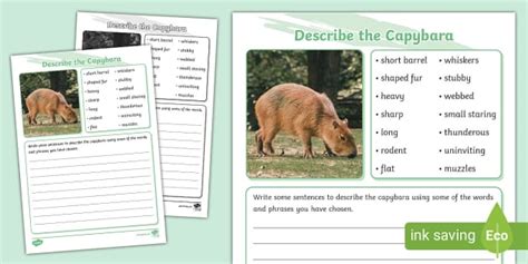 Describe the Capybara Writing Worksheet