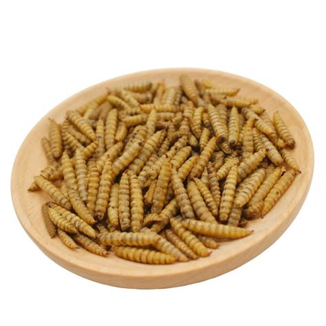 Buy HARTOMPET 5LBS/Bag Oven Dried Black Soldier Fly Larvae for Chickens ...