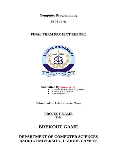 C Programming Project Report 的图像结果