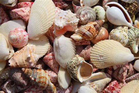 Image result for Nature Spring Box Stack