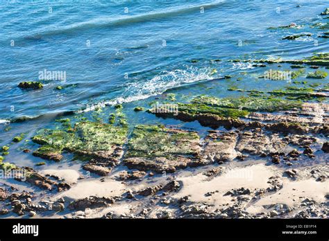Low tide in Santa Barbara, California exposes beautiful tide pools and ...